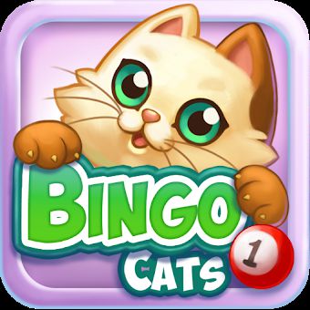 Bingo Cats